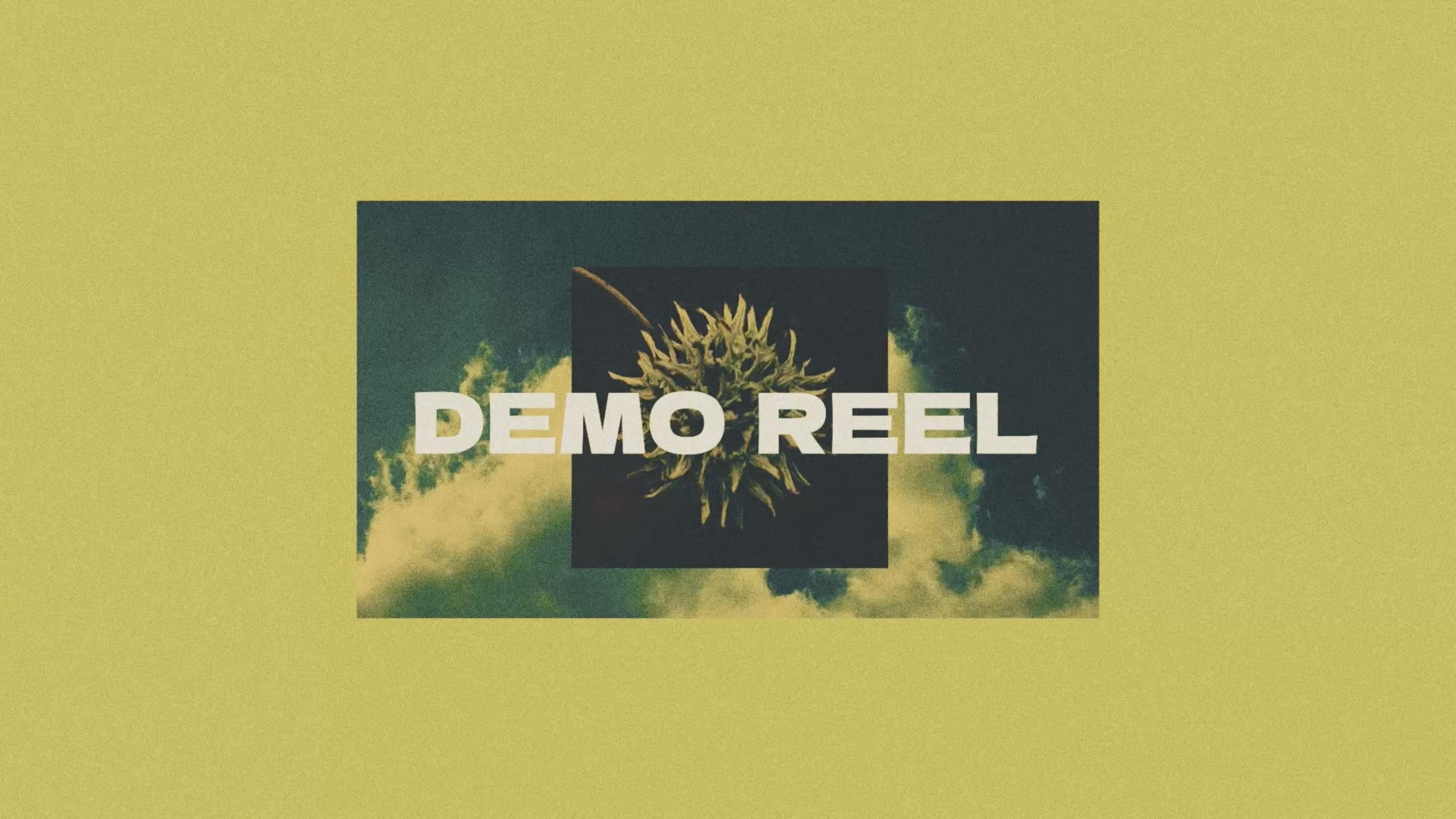 video1 DEMO REEL